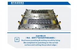 Triming Mould